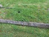 image of grave number 524219